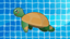 Turtle friends