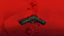 Gun