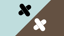 Feature: Word Placement