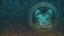 Catman