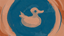 What the Duck
