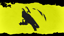 Land a Backflip