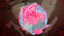 Pound of Flesh