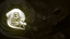 A new enemy
