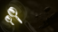 What are those things?
