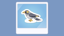 Oooh, stickers!