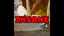 Rocky, the eye of the rooster - INSANE