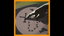 Path of Exile