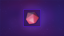 Stage 10