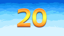 20 coins