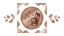 Meet you on the Rabbit Star