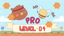 Level 04 Pro