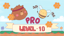 Level 10 Pro