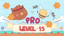 Level 15 Pro