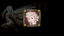 A World of Echoes: Dash