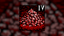 Blood Lust IV