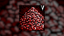 Blood Lust V