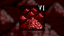 Blood Lust VI