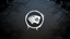 Apt Survivor