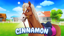 A Pinch of Cinnamon