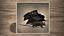 Pack Rat