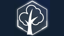 The Forests