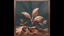 Veteran Farmer