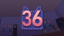 Cats Loves Leveling Up!