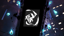 The Way of the Hayabusa Clan