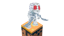 Mummy King Hunter