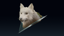 The Perfect Pal