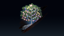 Giant Tree Budburst