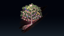Giant Tree in Bloom