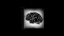 Follow your mind