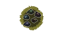 No Stone Untouched