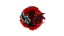 Cursed Run