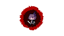 The Mercenary
