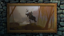 The first draug