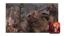 Keen-eyed Marksman