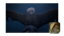 Swift-winged Warrior