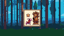 Forest Hazards