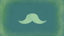 Hungarian moustache