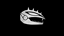 The Vega Turtle