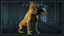 Immolator