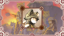 Laundry Enthusiast