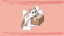 Box Hopper
