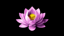 Samādhi