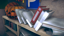 Informant: Appendix