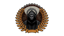 Sawbones