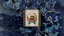 Copper Ecologist's Award